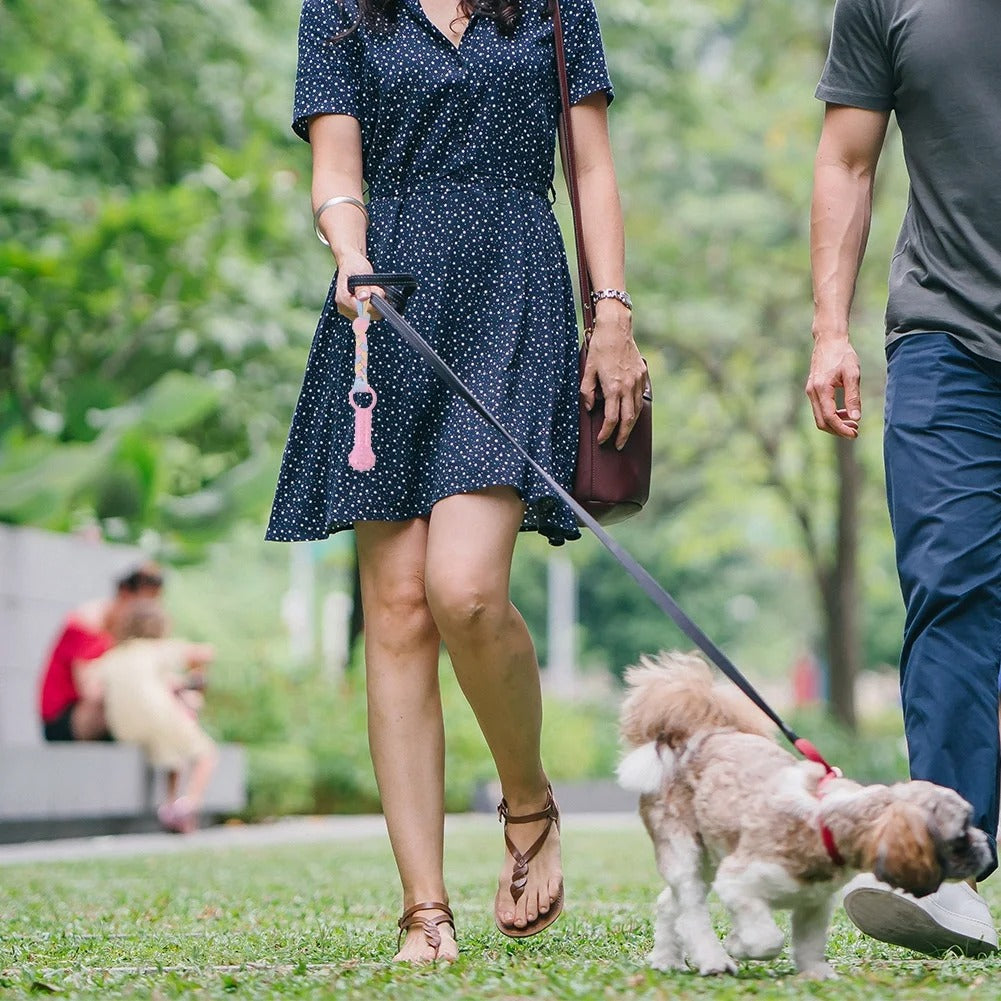 Pink 7 Pack Puppy Chew Toys for Small Dogs Interactive Teething Rubber and Rope Toys for Gum Massage and Dental Care