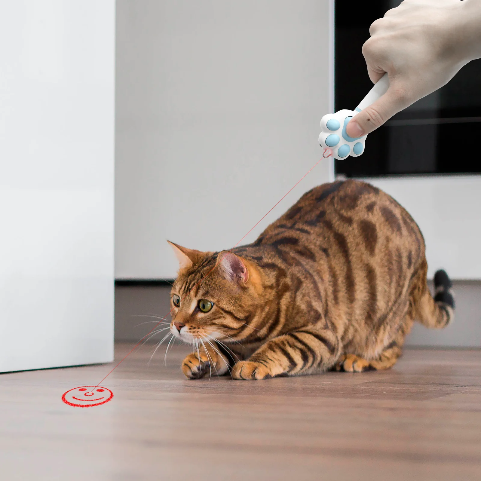 Interactive USB Rechargeable Cat Laser Pointer Toy, Red Dot Play Stick for Cats, Kittens and Small Dogs, Indoor Random Pattern Fun