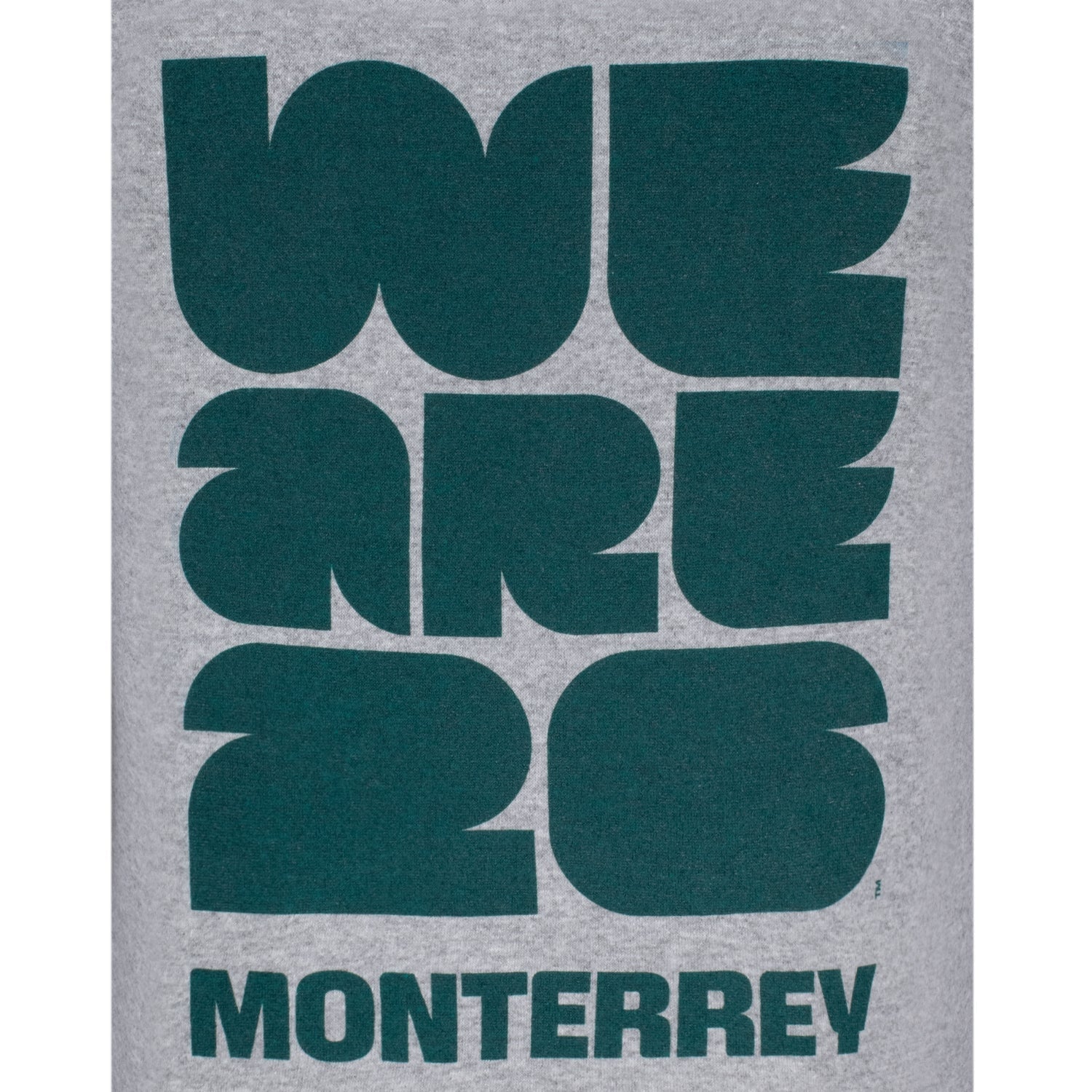 FIFA World Cup 2026™ Monterrey Grey Hoodie - Unisex